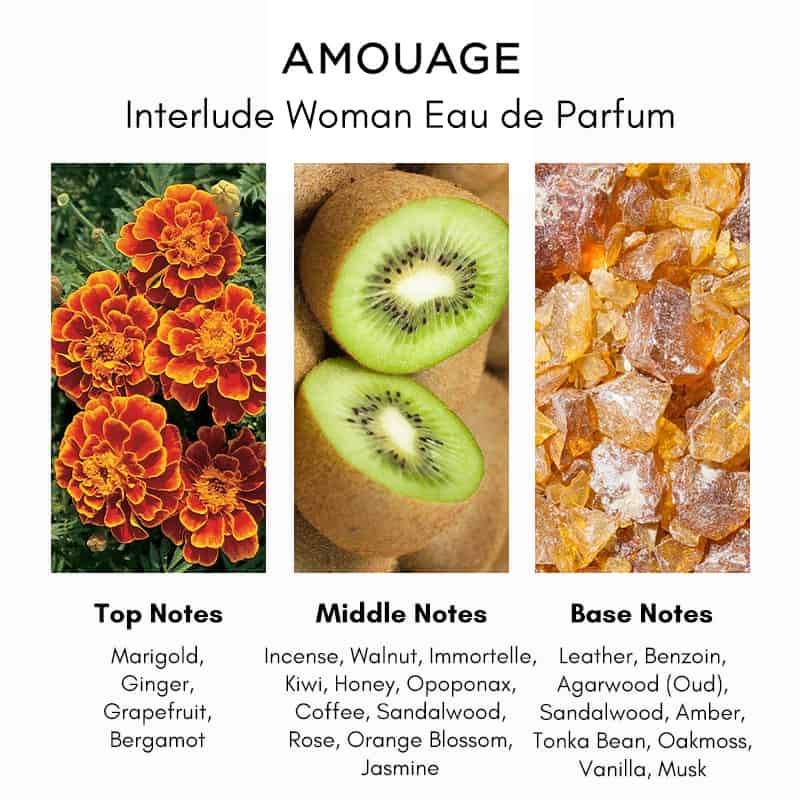 Amouage Interlude Woman 2ml 0,06 oz amostra oficial de perfume testador de perfume Amouage Interlude Woman 2ml 0,06 oz amostra oficial de perfume testador de perfume